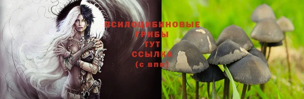 трава Семикаракорск