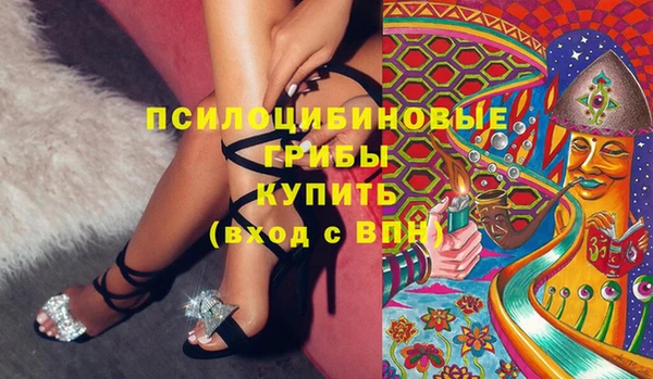 дурь Бронницы