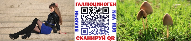 купить закладку  Тогучин  мега ссылки  Галлюциногенные грибы ЛСД 